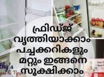 ഫ്രിഡ്ജ് വൃത്തിയാക്കാം സാധനങ്ങൾ ഇങ്ങനെ സൂക്ഷിക്കാം