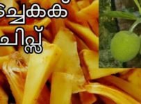 കടച്ചക്ക ചിപ്സ് ഇതുപോലെ ഉണ്ടാക്കി നോക്കൂ.