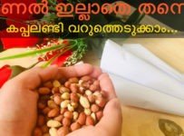 മണൽ ഇല്ലാതെ തന്നെ കപ്പലണ്ടി വറുത്തെടുക്കാം