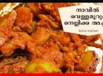 കൊതിയൂറും നെല്ലിക്ക അച്ചാർ