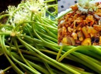 ഉള്ളിതണ്ട് കൊണ്ട് സ്വാദുള്ള തോരൻ ഇതാ