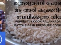 മുത്തുമണി പോലെ മട്ട അരി കുക്കറിൽ വേവിക്കുന്ന വിധം