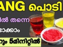 TANG പൊടി വീട്ടിൽ തന്നെ ഉണ്ടാക്കാം, വീട്ടിലുള്ള ഈ 3 സാധനങ്ങൾ മതി