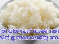 രാത്രി യിൽ ചോറ് ബാക്കി വന്നോ , എങ്കിൽ ഇങ്ങനെ ചെയ്തു നോക്കു