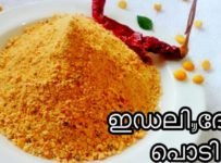 നാടൻ ഇഡലി പൊടി ഉണ്ടാക്കി നോക്കൂ
