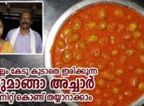 5 കൊല്ലം കേടു കൂടാതെ ഇരിക്കുന്ന കടുമാങ്ങാ അച്ചാർ തയ്യാറാക്കാം
