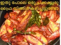 ഇതു പോലെ ഒരു ചക്കക്കുരു ഫ്രൈ നിങ്ങൾ കഴിച്ചിട്ടുണ്ടോ