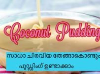 കോക്കനട്ട് പുഡ്ഡിംഗ് ഉണ്ടാക്കി നോക്കൂ