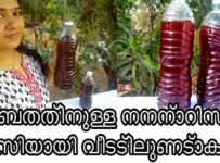 അടിമുടി തണുപ്പിക്കാൻ ഇതൊന്നുമതി/നന്നാറി