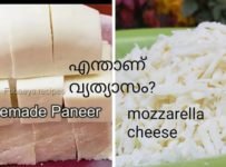 പനീറും മൊസാരല്ല ചീസും തമ്മിലുള്ള വ്യത്യാസം അറിയാമോ