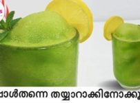 വേനൽ കാലത്ത് തയ്യാറാക്കി കഴിക്കാൻ പറ്റിയ ഒരു കിടിലൻ ഐറ്റം ഇതാ, ഇപ്പോൾ തന്നെ തയ്യാറാക്കി നോക്കൂ.