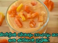 കൊടും ചൂടിൽ ശരീരത്തിന് ആശ്വാസം പകരാൻ പപ്പായ കൊണ്ടൊരു ഹെൽത്തി ഡ്രിങ്ക്| ഇഷ്ടമാവും കഴിച്ചു നോക്കൂ