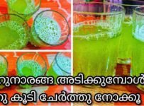 നാരങ്ങ വെള്ളം അടിക്കുമ്പോൾ ഇതുകൂടി ചേർത്ത് നോക്കൂ