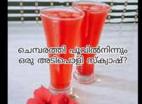 ഒരു ചെമ്പരത്തിപ്പൂ മാജിക് ചെയ്തു നോക്കൂ