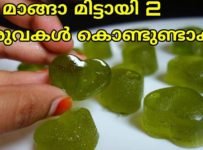 വെറും 2 ചേരുവകൾ മതി പച്ചമാങ്ങാ മിട്ടായി ഉണ്ടാക്കാൻ