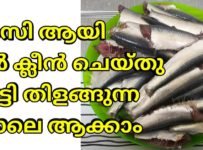 മത്തി ഈസി ആയി ക്ലീൻ ചെയ്തു വെട്ടി തിളങ്ങുന്ന പോലെ കഴുകിയെടുക്കാം