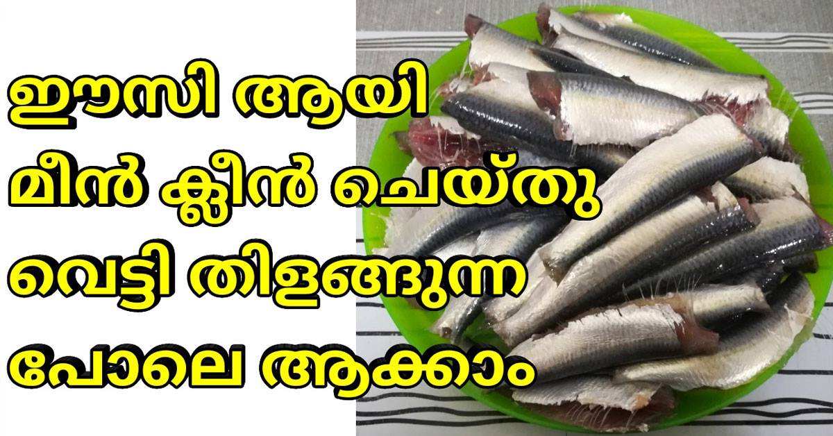 മത്തി ഈസി ആയി ക്ലീൻ ചെയ്തു