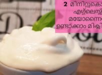 മുട്ട ഇല്ലാതെ മിക്സിയിൽ ഉണ്ടാക്കുന്ന മയോന്നൈസ്