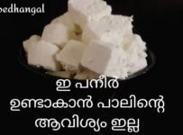 ഇനി പനീർ ഉണ്ടാകാൻ പാൽ വേണമെന്നില്ല
