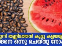 തണ്ണിമത്തൻ , കുമ്പളങ്ങ ,മത്തങ്ങാ ,വെള്ളരിക്ക തുടങ്ങിയവയുടെ കുരു ഒന്നും ഇനി കളയണ്ട..ഇങ്ങനെ ഉണ്ടാക്കാം