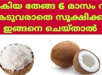 ചിരകിയ തേങ്ങ 6 മാസം വരെ കേടാവാതെ സൂക്ഷിക്കാം ഇങ്ങനെ ചെയ്‌താൽ