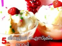 കൊതിയൂറും വാനില ഐസ് ക്രീം എളുപ്പത്തിൽ വീട്ടിൽ തയ്യാറാക്കാം