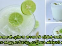 വേനലിൽ തണുപ്പേകാൻ ഇതിലും നല്ലൊരു ജ്യൂസ്‌ വേറെയില്ല  ഒരു വെറൈറ്റി ജ്യൂസ്‌