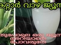 ഒട്ടേറെ ആരോഗ്യ ഗുണമുള്ള കറ്റാർവാഴ ജ്യൂസ് ഇങ്ങനെ ഒന്ന് തയ്യാറാക്കി നോക്കു