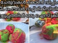 3 ചേരുവകൾ കൊണ്ട് വിപ്പിംഗ് ക്രീം പൗഡർ വെച് എളുപ്പത്തിൽ ഒരു കിടിലൻ ഐസ്ക്രീം