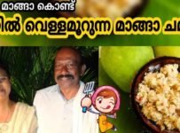 നാടൻ മാങ്ങാ കൊണ്ട് വായിൽ വെള്ളമൂറുന്ന മാങ്ങാ ചമ്മന്തി ഉണ്ടാക്കിനോക്കാം