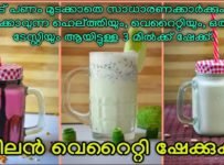 ഒരുപാട് പണം മുടക്കാതെ കുടിക്കാൻ ഇതാ ഹെല്ത്തിയും വെറൈറ്റിയും കിടിലൻ ടേസ്റ്റിയും ആയ 3 മിൽക്ക്ഷേക്ക്