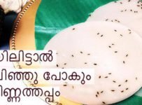 വായിലിട്ടാൽ അലിഞ്ഞു പോകും കിണ്ണത്തപ്പം
