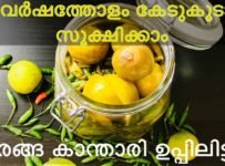 നാരങ്ങ കാന്താരി ഉപ്പിലിട്ടത് ഇതുപോലെ ഒന്ന് ഉണ്ടാക്കി നോക്കൂ