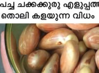 ചക്കക്കുരു മാങ്ങാ കറി. ഒപ്പം ചക്കക്കുരു എളുപ്പത്തിൽ തൊലി കളയുന്ന വിധം
