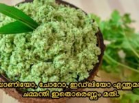 ബിരിയാണി ചമ്മന്തി ഇത് ഇല്ലാതെ എന്ത് ബിരിയാണി ഭക്ഷണം ഏതുമായിക്കോട്ടെ ചമ്മന്തി ഇത് മതി !!!
