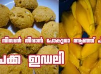 ചക്ക സീസൺ തീരാൻ പോകുവാ ഒന്ന് ആഞ്ഞ് പിടിച്ചോ ചക്ക ഇഡലി