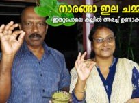 നാരങ്ങാ ഇല ചമ്മന്തി ഇതുപോലെ കല്ലിൽ അരച്ച് ഉണ്ടാക്കി നോക്കൂ.