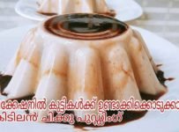 4 ഇൻഗ്രീഡിയൻസ് മാത്രം മതി ഈസി ചിക്കു പുഡിങ് ഉണ്ടാക്കാം