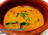 മീൻ ഇല്ലാതെ മീൻ രുചിയിൽ എളുപ്പത്തിൽ ഊണിനു ഒരു തനി നാടൻ കറി