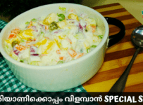 നിങ്ങൾ ഇതുവരെ കഴിച്ചിട്ടില്ലാത്ത ഒരു salad. Video കാണാൻ ഇവിടെ click ചെയ്യൂ.