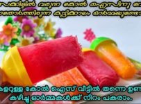 കുട്ടിക്കാലത്തെ ആ കോൽ ഐസ് ഇനി കുറഞ്ഞ ചേരുവകൾ വച്ച് വീട്ടിലും ഉണ്ടാക്കാം