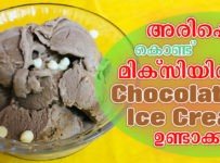 അരിപ്പൊടി കൊണ്ട് മിക്സിയിൽ Chocolate Ice Cream ഉണ്ടാക്കാം
