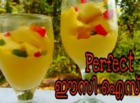 5മിനിറ്റിൽ ആർക്കും ഈ ഈസി ഐസ്ക്രീം വീട്ടിൽ ഉണ്ടാക്കാം