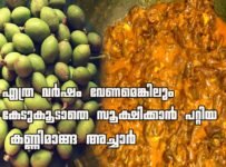 എത്ര വർഷം വേണമെങ്കിലും കേടുകൂടാതെ സൂക്ഷിക്കാൻ പറ്റിയ കണ്ണിമാങ്ങ അച്ചാർ തയ്യാറാക്കാം