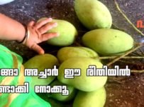 നിമിഷ നേരം കൊണ്ട് മാങ്ങാ അച്ചാർ തയാറാക്കാം