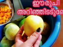 പഴുത്ത മാങ്ങാ ഇതുപോലൊചോറിനൊപ്പം കഴിച്ചിട്ടുണ്ടോ