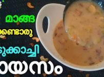 പച്ച മാങ്ങ കൊണ്ട് പായസം ഉണ്ടാക്കിട്ടുണ്ടോ കിടിലൻ ടേസ്റ്റ് ആണ്