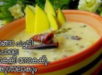 സദ്യ സ്‌പെഷ്യൽ ആയിട്ട് ഈ പച്ച മാങ്ങാ പച്ചടി കൂടി ട്രൈ ചെയ്തു നോക്കു