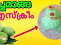 പച്ച മാങ്ങ ഐസ് ക്രീം കഴിച്ചിട്ടുണ്ടോ സൂപ്പർ ടേസ്റ്റ് ആണ്