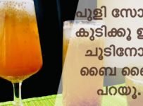 പുളി സോഡ കുടിച്ചിട്ടുണ്ടോ ഇല്ലെങ്കിൽ ദാ ഇതുപോലെ ഉണ്ടാക്കി നോക്കൂ